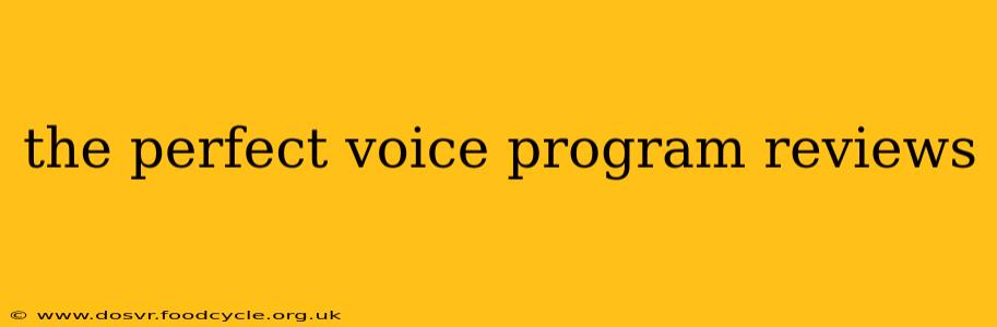 the perfect voice program reviews