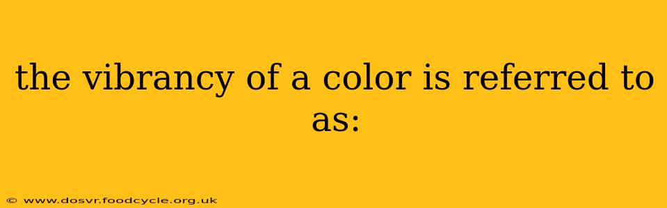 the vibrancy of a color is referred to as:
