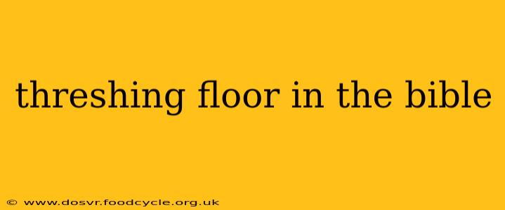 threshing floor in the bible