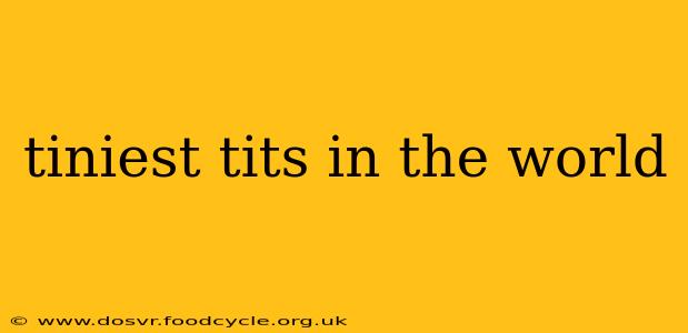 tiniest tits in the world tiniest tits in the world