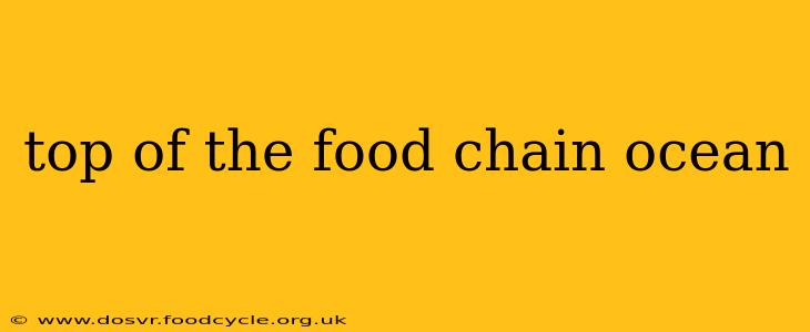 top of the food chain ocean