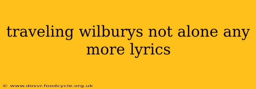 traveling wilburys not alone any more lyrics
