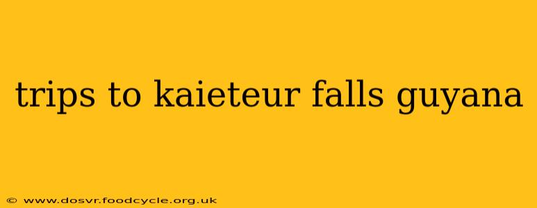trips to kaieteur falls guyana