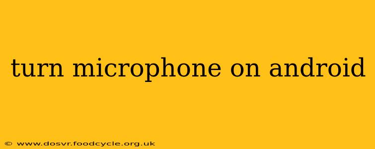 turn microphone on android