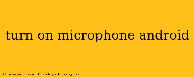 turn on microphone android