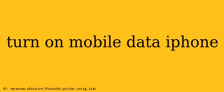 turn on mobile data iphone