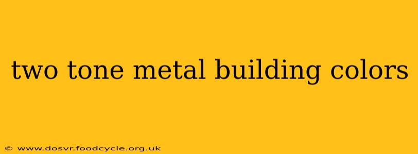 two tone metal building colors