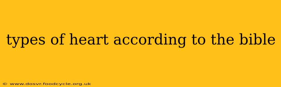 types of heart according to the bible