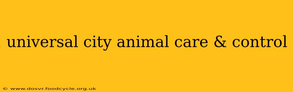 universal city animal care & control