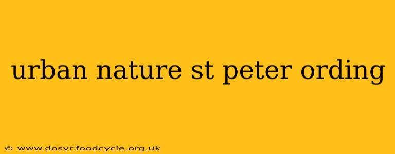 urban nature st peter ording