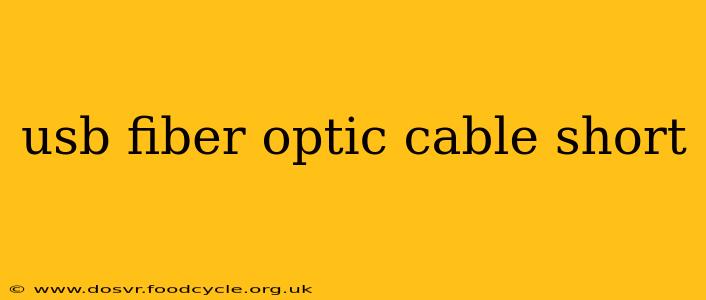 usb fiber optic cable short