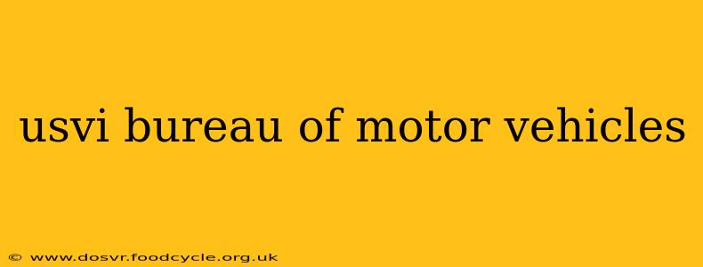 usvi bureau of motor vehicles