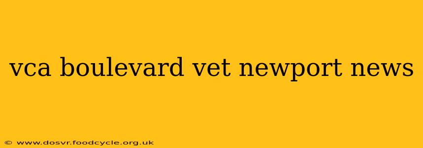 vca boulevard vet newport news