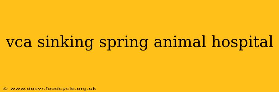 vca sinking spring animal hospital