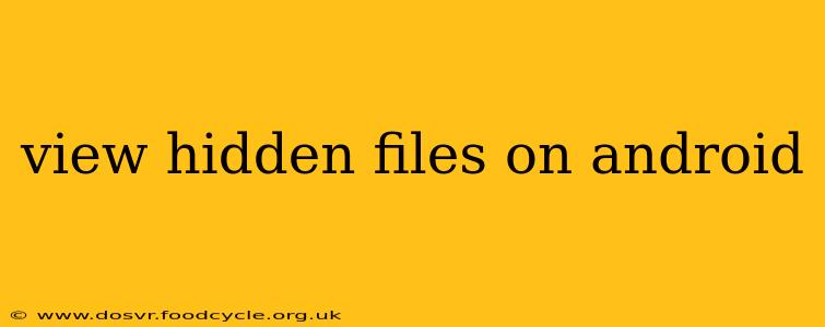 view hidden files on android
