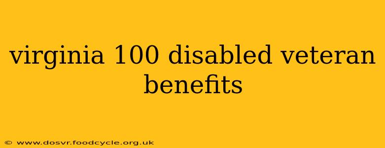 virginia 100 disabled veteran benefits