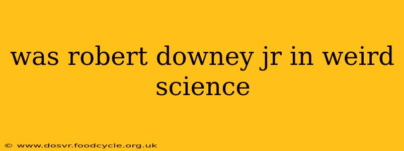 was robert downey jr in weird science