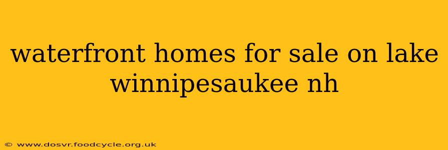 waterfront homes for sale on lake winnipesaukee nh