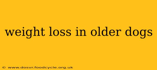 weight loss in older dogs