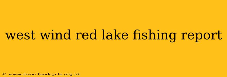 west wind red lake fishing report
