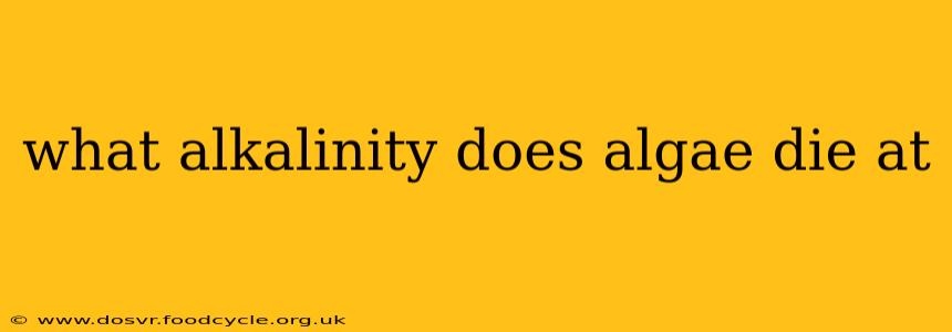 what alkalinity does algae die at