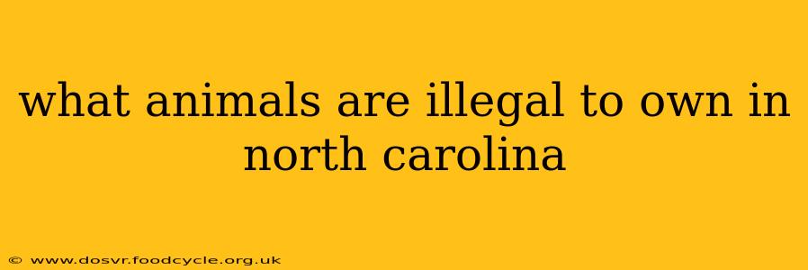what animals are illegal to own in north carolina