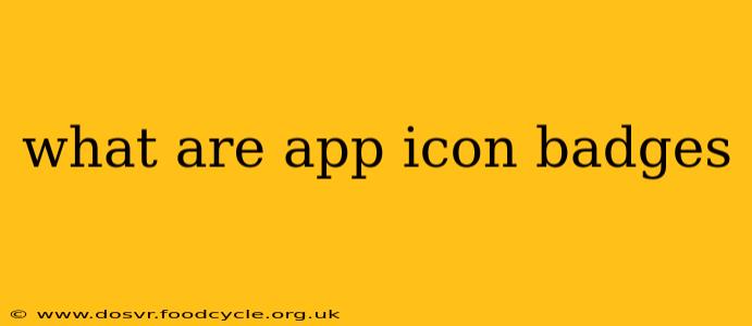 what are app icon badges
