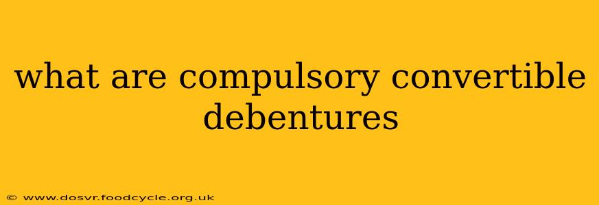 what are compulsory convertible debentures