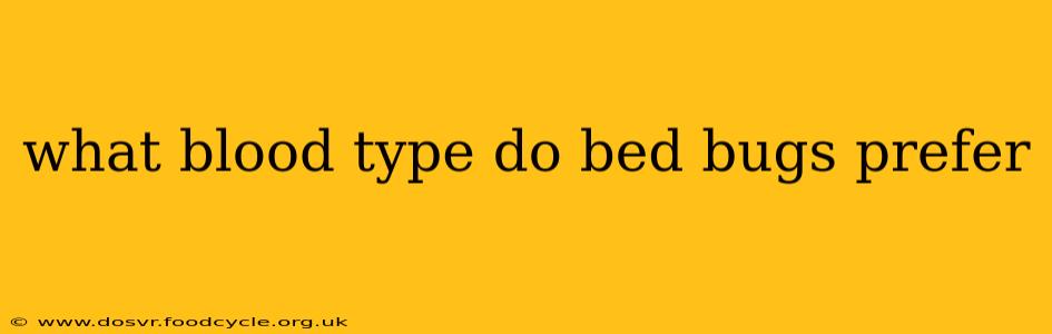 what blood type do bed bugs prefer