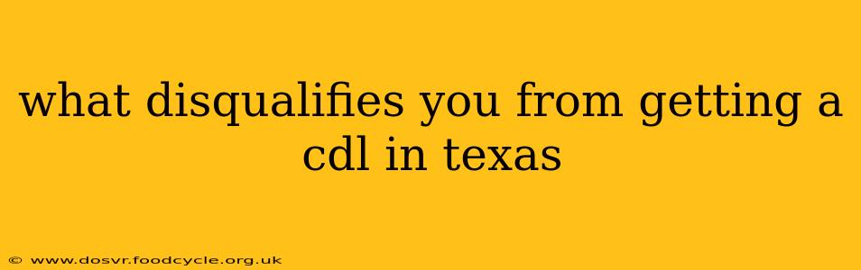 what disqualifies you from getting a cdl in texas