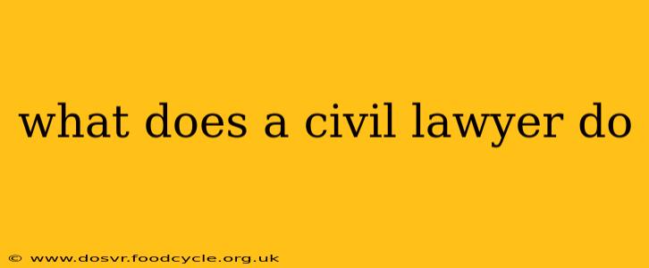 what does a civil lawyer do