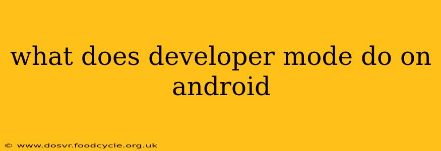 what does developer mode do on android