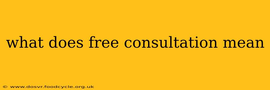 what does free consultation mean