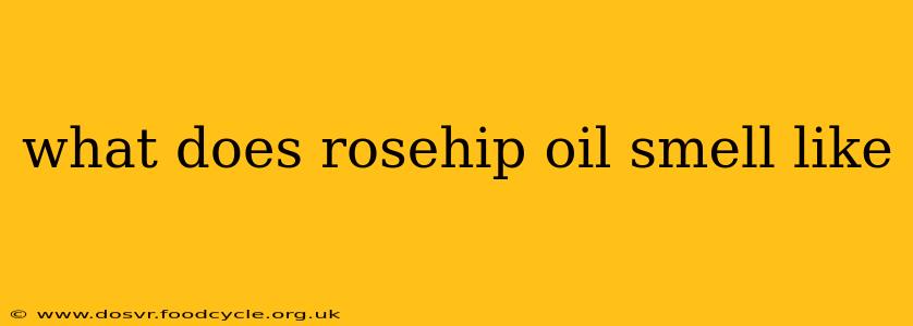 what does rosehip oil smell like