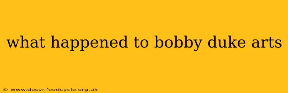 what happened to bobby duke arts