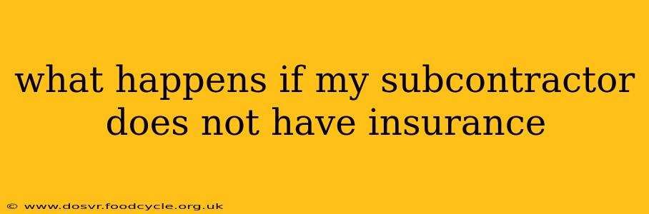 what happens if my subcontractor does not have insurance