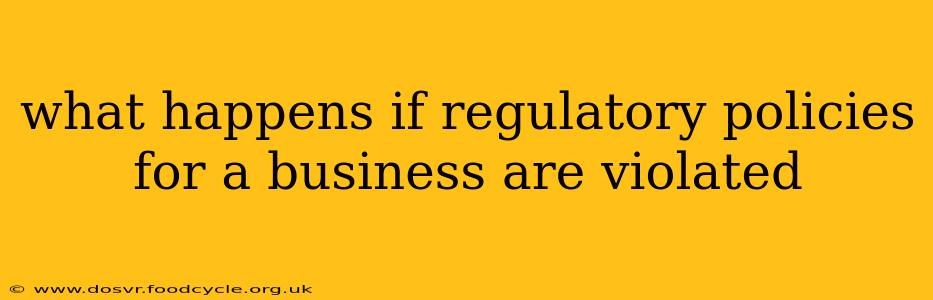 what happens if regulatory policies for a business are violated