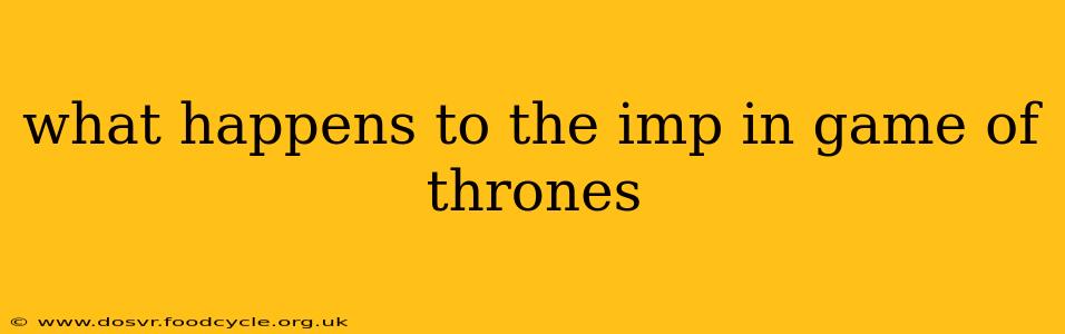 what happens to the imp in game of thrones