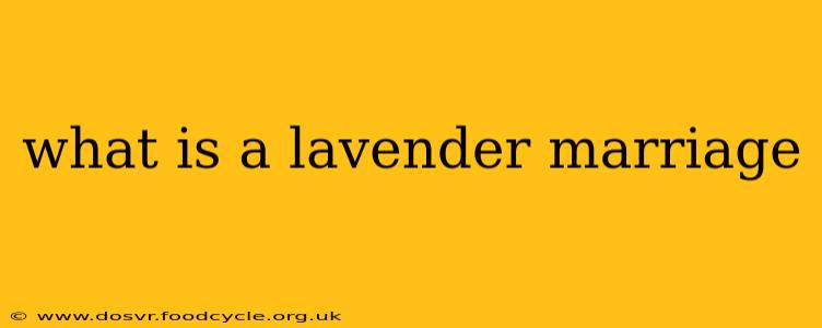 what is a lavender marriage