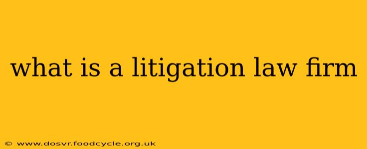 what is a litigation law firm