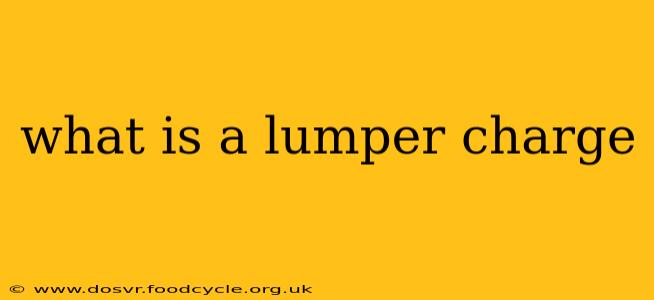what is a lumper charge
