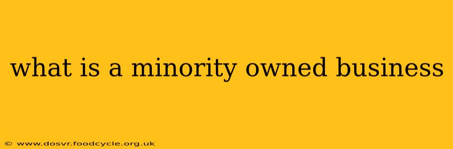 what is a minority owned business