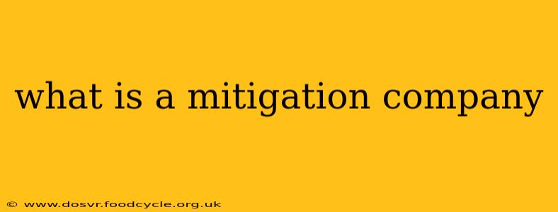 what is a mitigation company