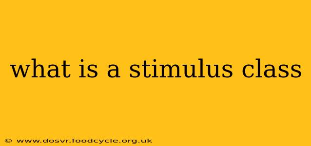 what is a stimulus class