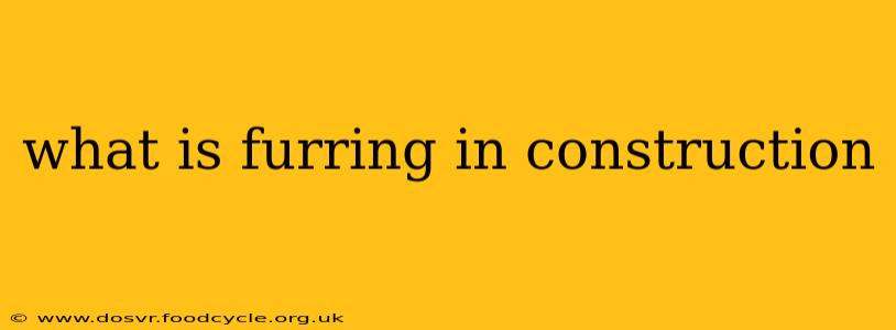 what is furring in construction