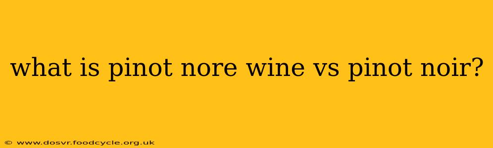 what is pinot nore wine vs pinot noir?