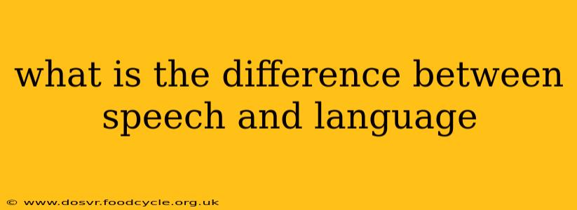 what is the difference between speech and language