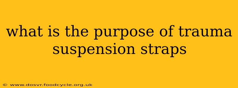 what is the purpose of trauma suspension straps