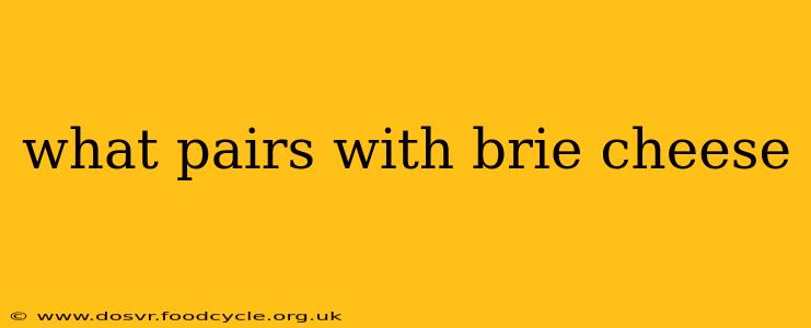 what pairs with brie cheese