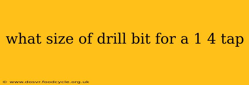 what size of drill bit for a 1 4 tap